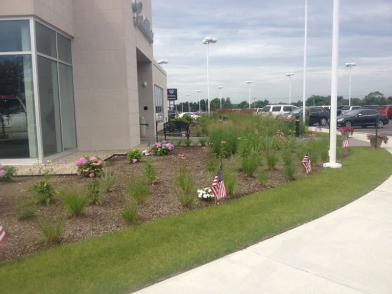Flower bed with small plants and flags outside a building.