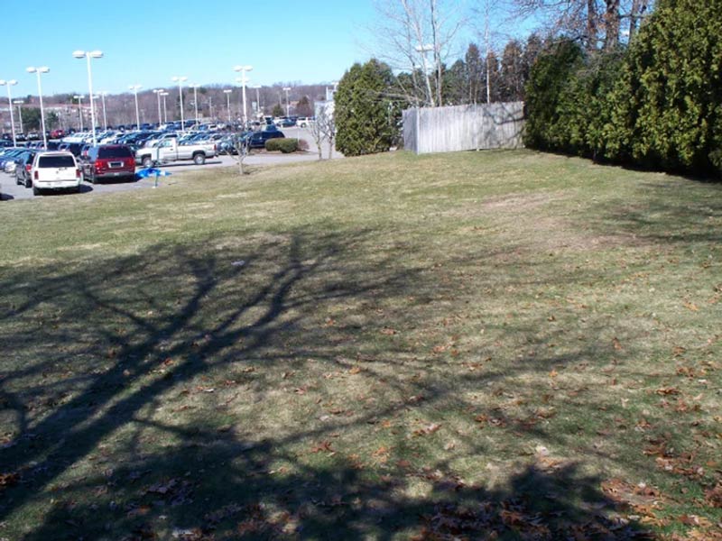Open grassy area with trees and parked cars in the background.